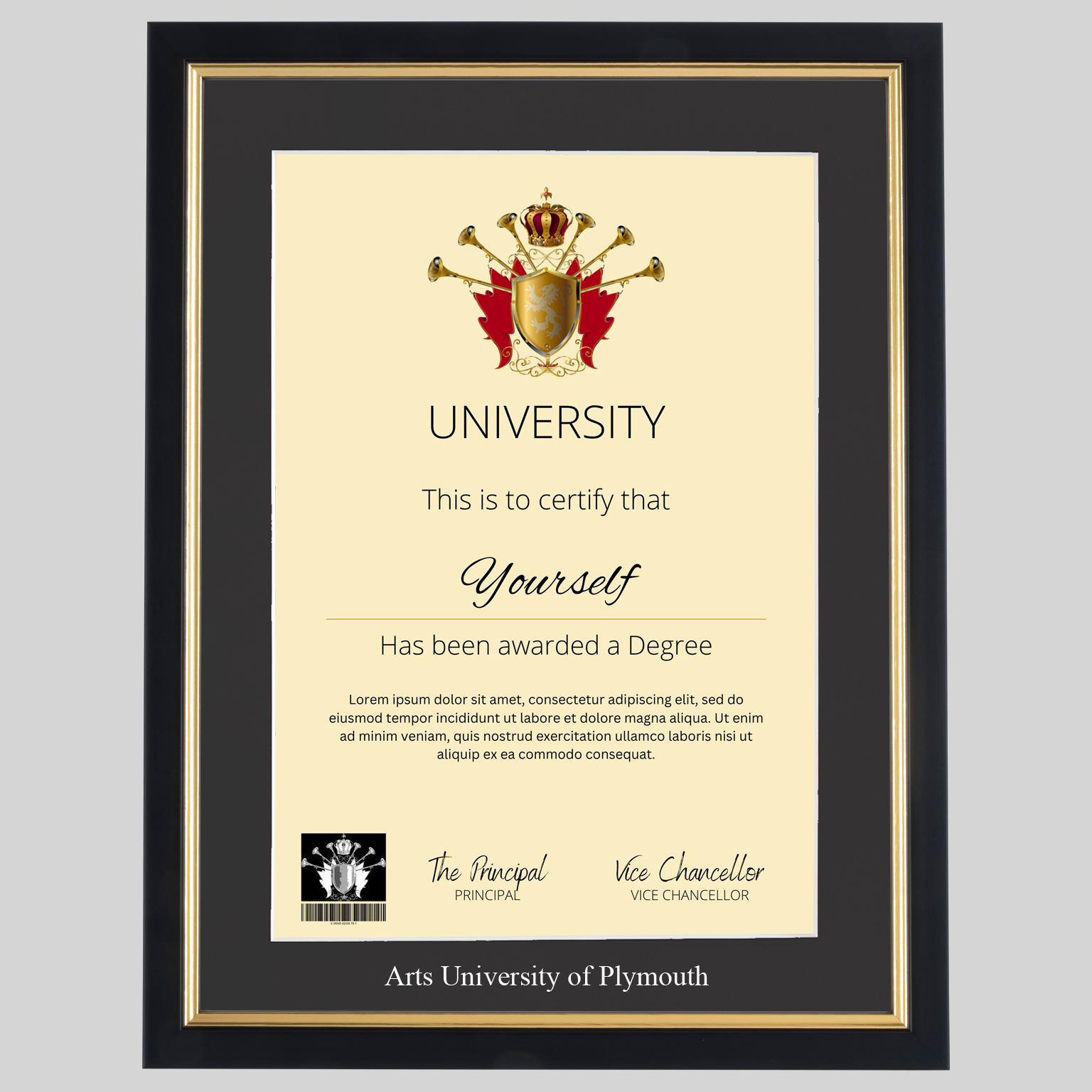 Arts University of Plymouth graduation certificate Frame Professional