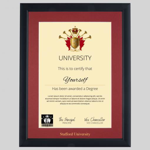 Stafford University A4 graduation certificate Frame in Contemporary