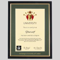 St George’s University of London Black and Gold frame