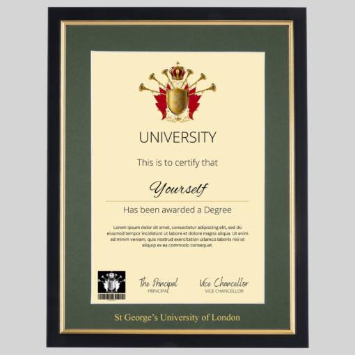 St George’s University of London Black and Gold frame