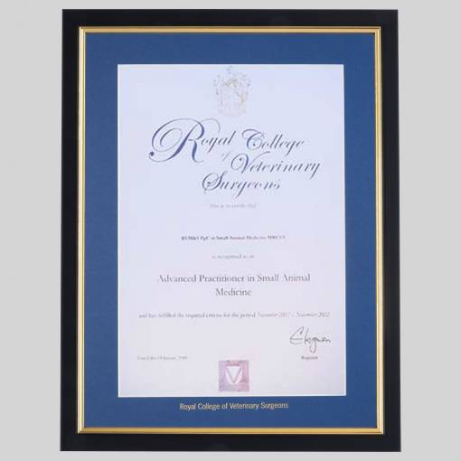 Royal College of Veterinary Surgeons certificate frame - Classic Black and Gold