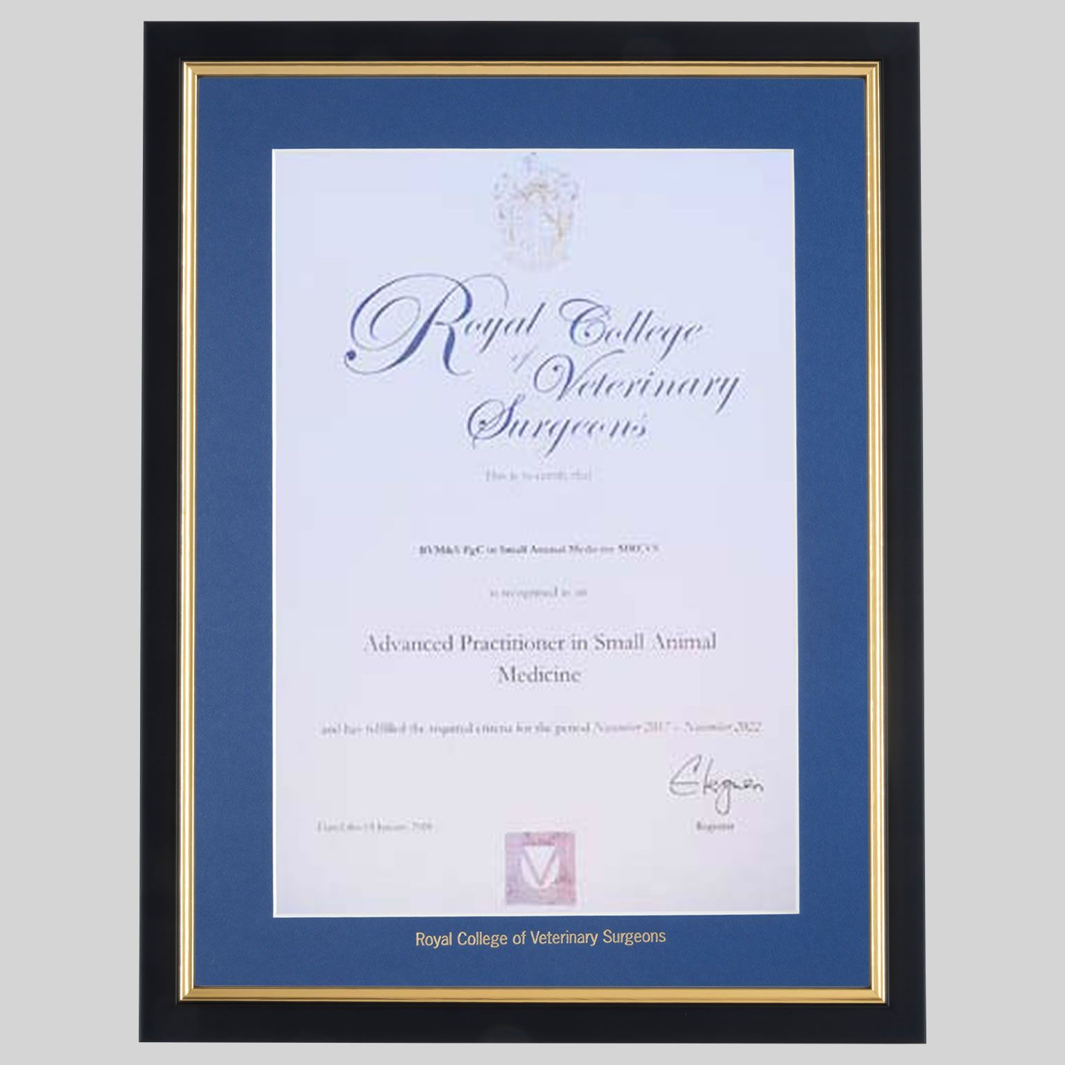 Royal College of Veterinary Surgeons certificate frame - Classic Black and Gold