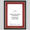 Institute of Packaging Professionals certificate frame